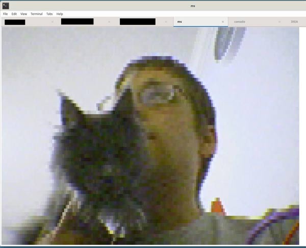 A very low resolution grainy photo of a man and a cat taken by the mrmoy stick camera, displayed in a terminal